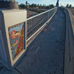 Laurel Street Bridge, 2014