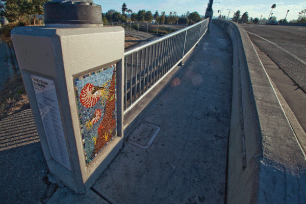 Laurel Street Bridge, 2014