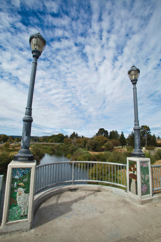 Soquel Ave. Bridge, Center of Span North side, 2013