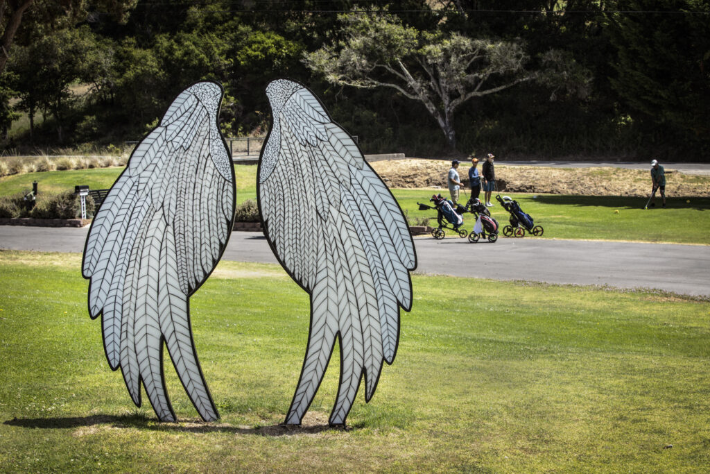 Angel Wings
