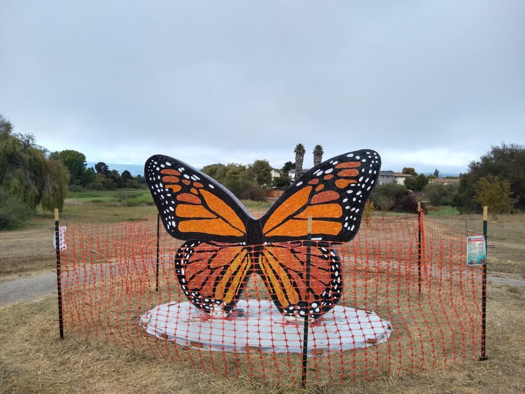 The Covid-19 Memorial Butterfly as it was being installed, Watsonville, CA